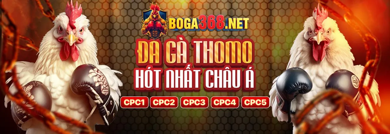 Blog Q68BET Link Mới 2026 - Cổng Giải Trí Trực Tuyến Đỉnh Cao