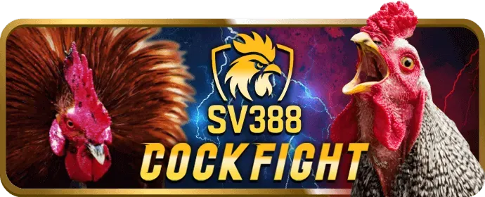 Trải nghiệm di động mượt mà với ứng dụng q68bet